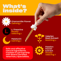 Infographic titled 'What's inside?' showing calming ingredients—chamomile flower, L‑theanine, melatonin, valerian root extract, passionflower extract—and a vet‑partnered safety note