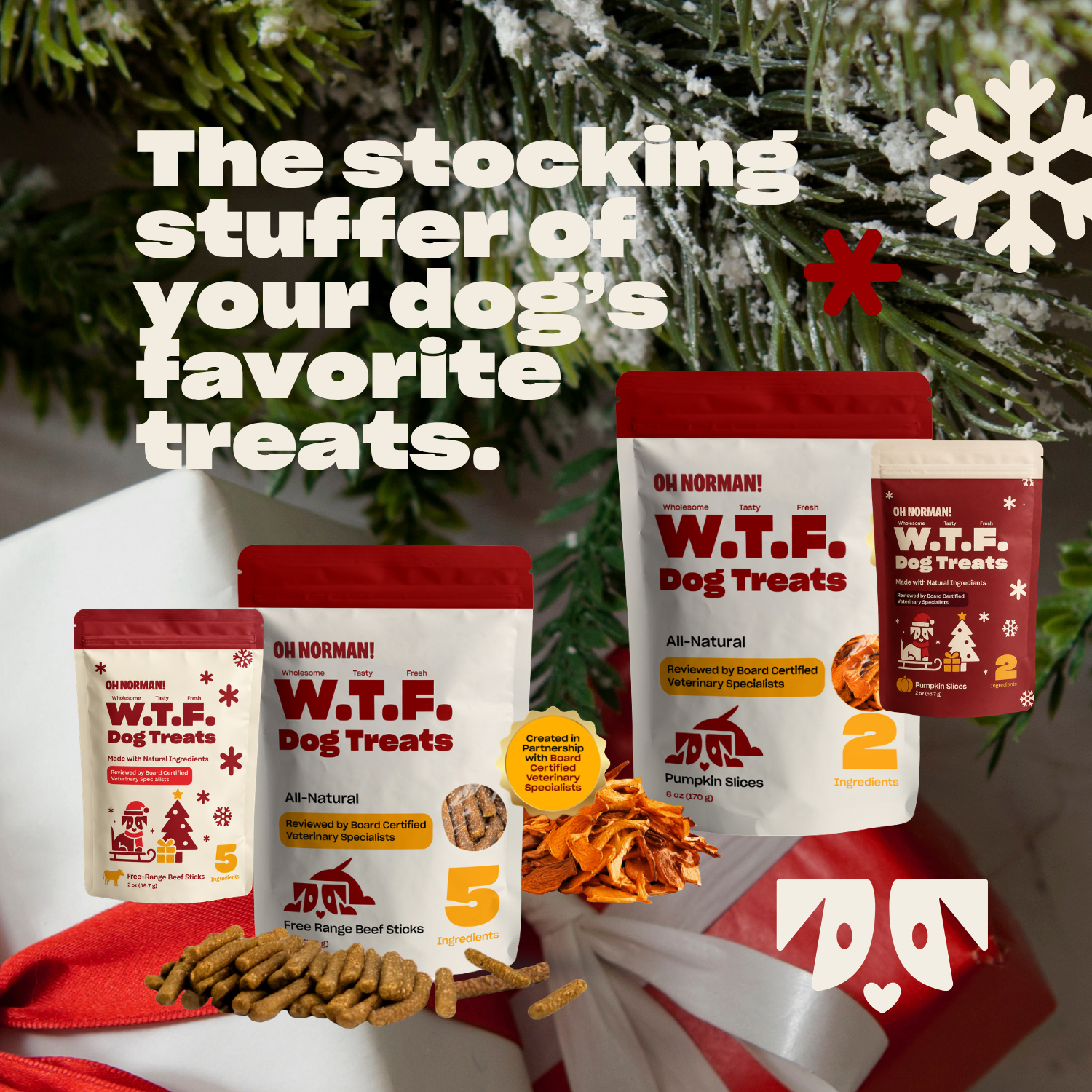 WTF HOLIDAY Treats: Free Range Beef Jerky