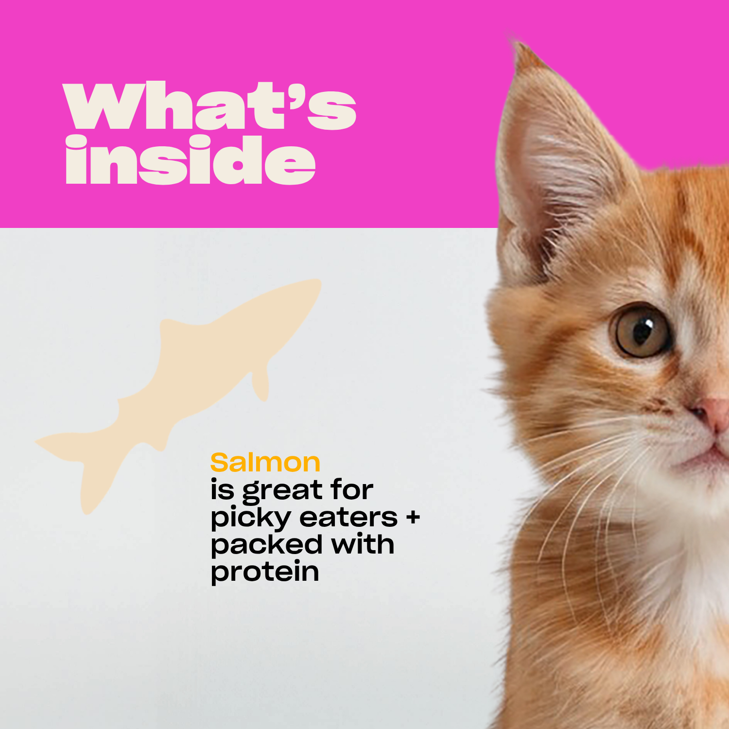 WTF Salmon Freeze Dried Cat Treats