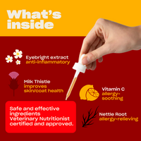 Infographic 'What's inside' listing Eyebright, Milk Thistle, Vitamin C, and Nettle root with allergy and skin benefits