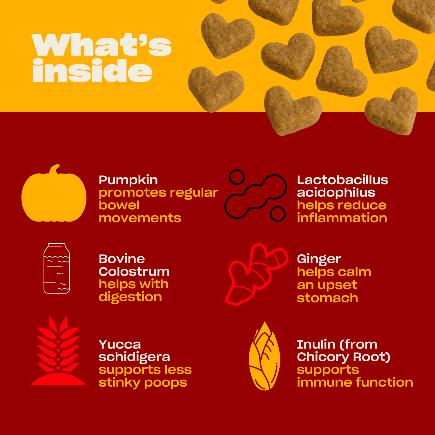 Infographic titled What's inside showing six digestive support ingredients and their benefits