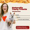 Woman holding a dog with text: Naturally Tasty Treats, Perfect for Fall, Pumpkin Slices, Healthy ingredients, Naturally made with pumpkin, sweet potatoes, and cinnamon.