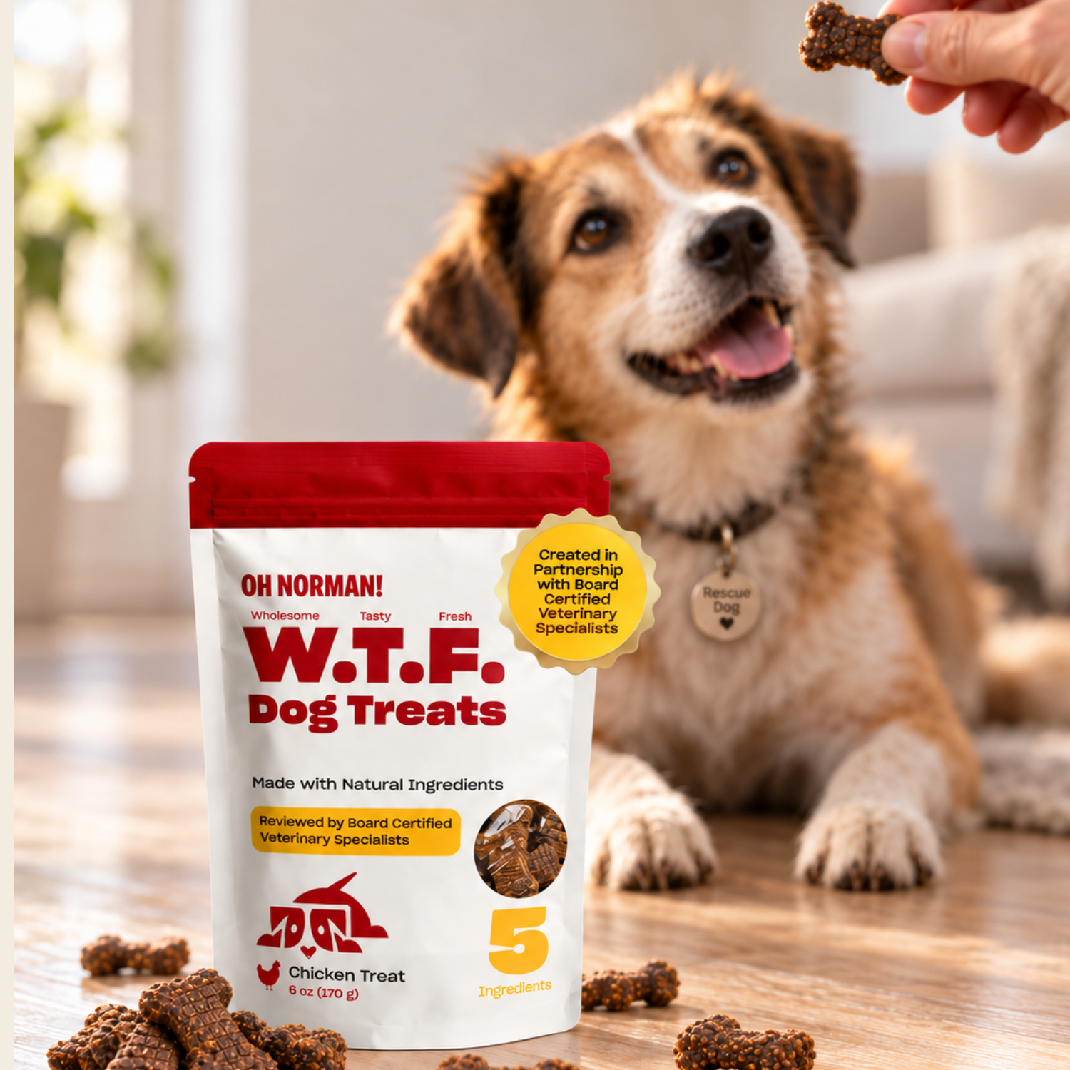 WTF Dog Treats: Chicken Treats