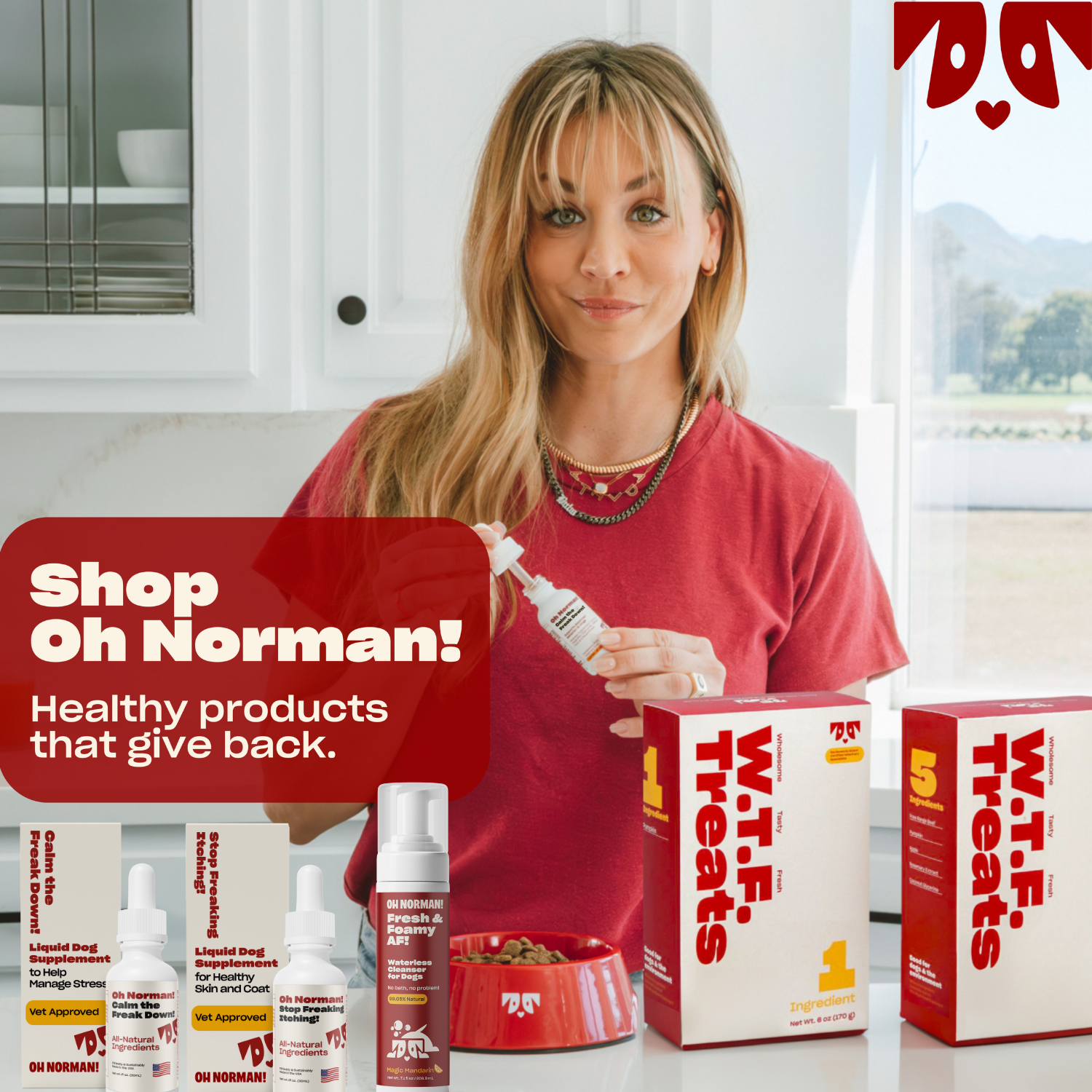 Woman holding Oh Norman! product with boxes of W.T.F. Treats and text 'Shop Oh Norman! Healthy products that give back.'