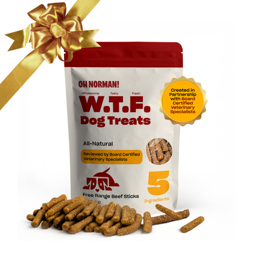 WTF Treats: Free Range Beef Jerky