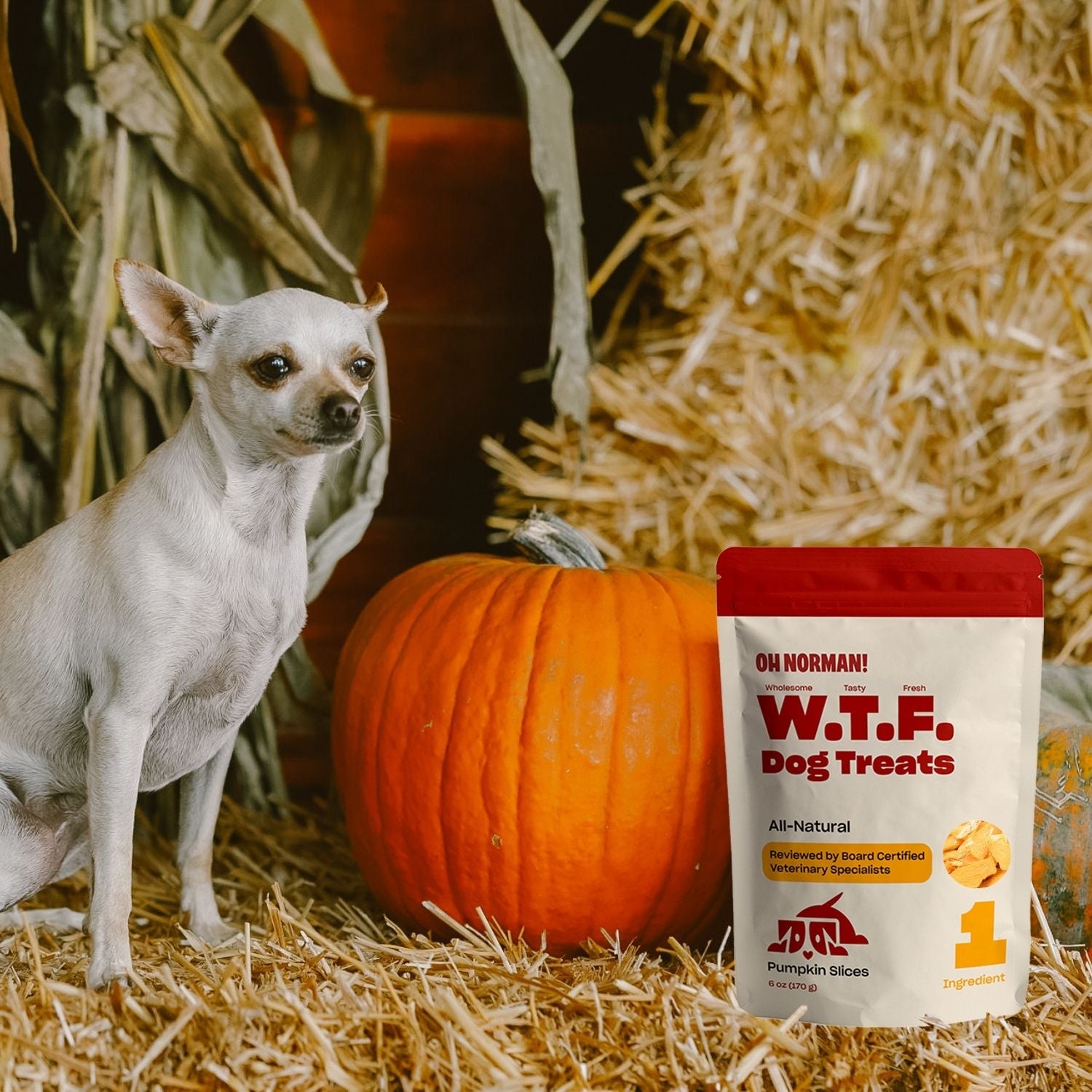 WTF Treats: Pumpkin Slices
