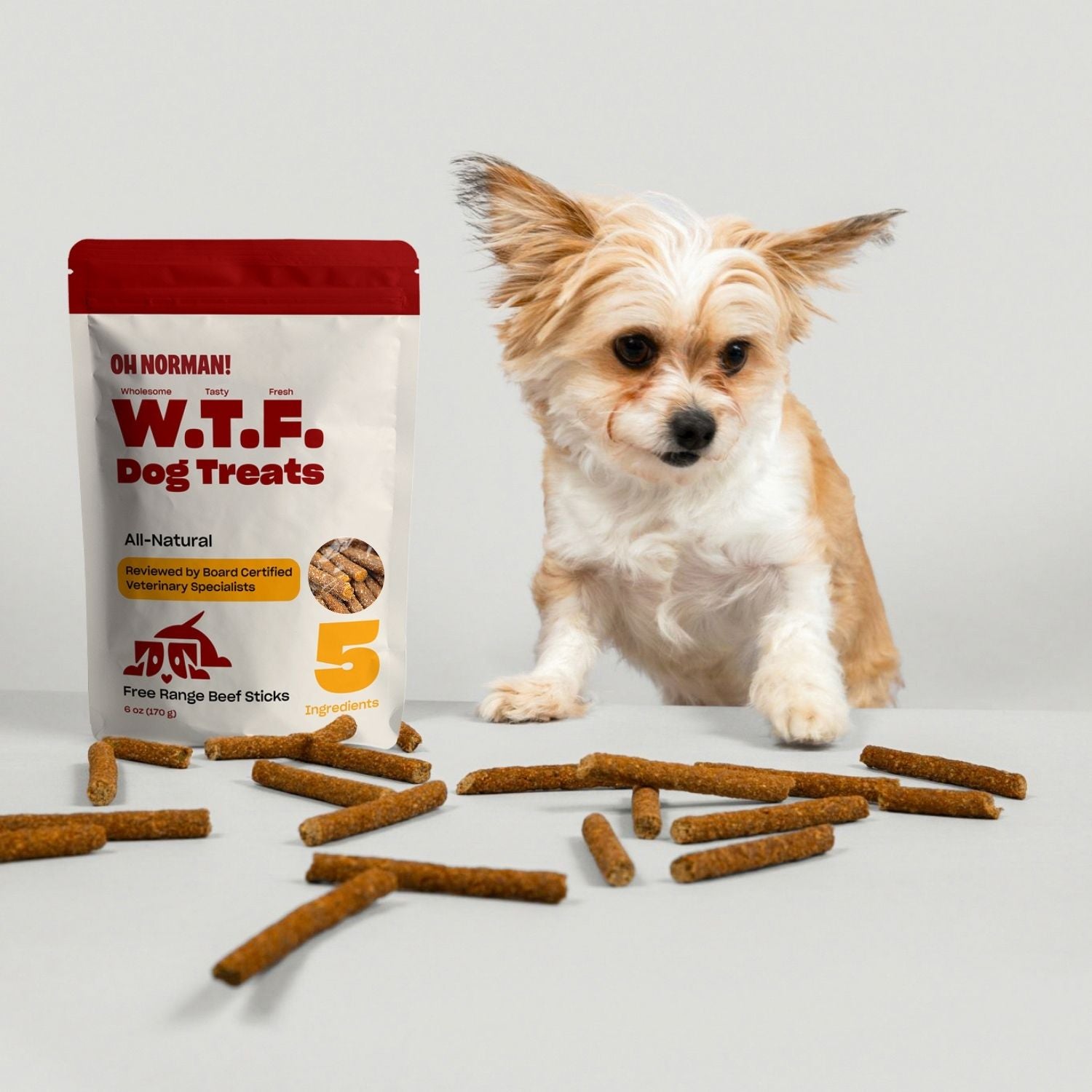 WTF Treats: Free Range Beef Jerky