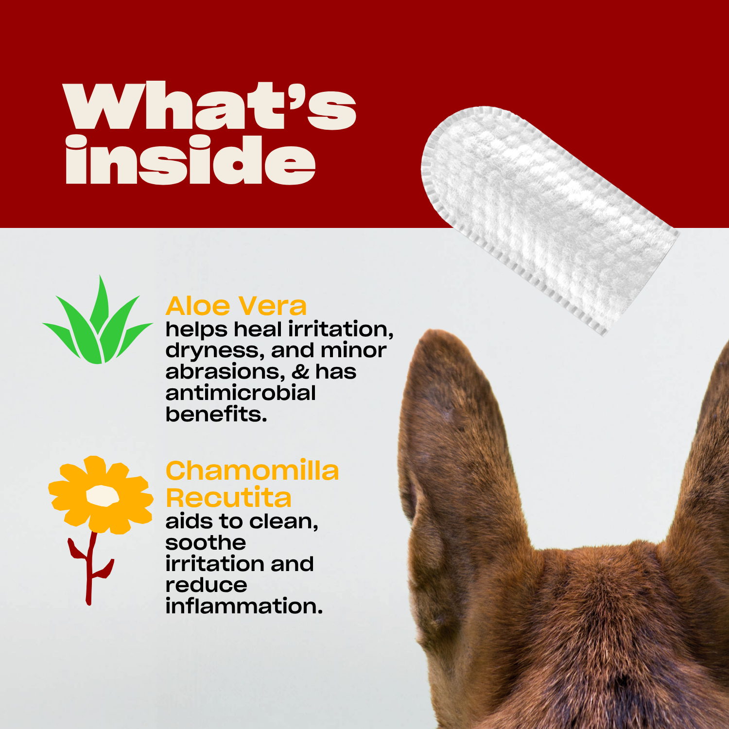 Dog ears peeking from a box labeled "Clean Effing Ears" with header "What's inside" and ingredient icons.