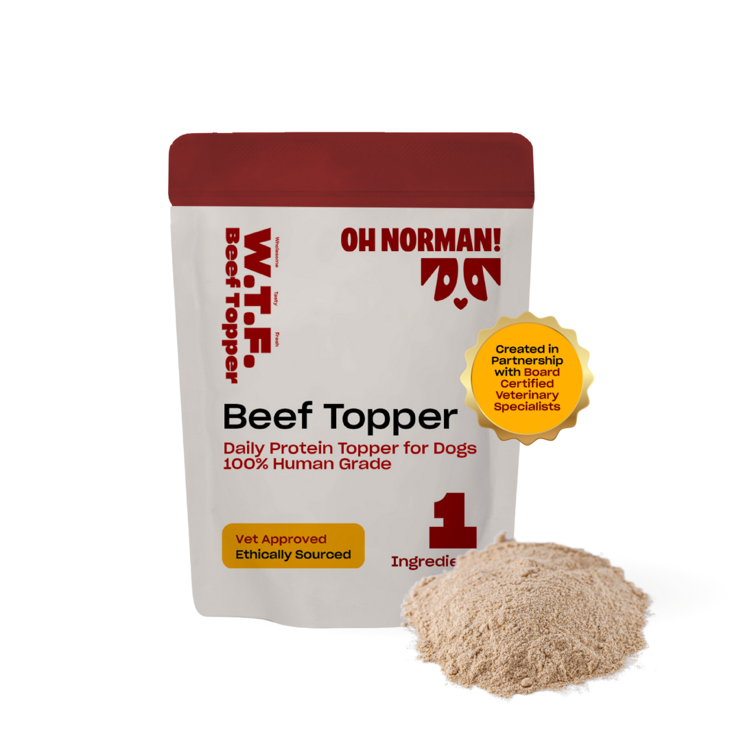 Front view of Oh Norman Beef Topper pouch showcasing Beef Topper label, vet approved badge, 1 ingredient mark and pile of powdered topper on white background
