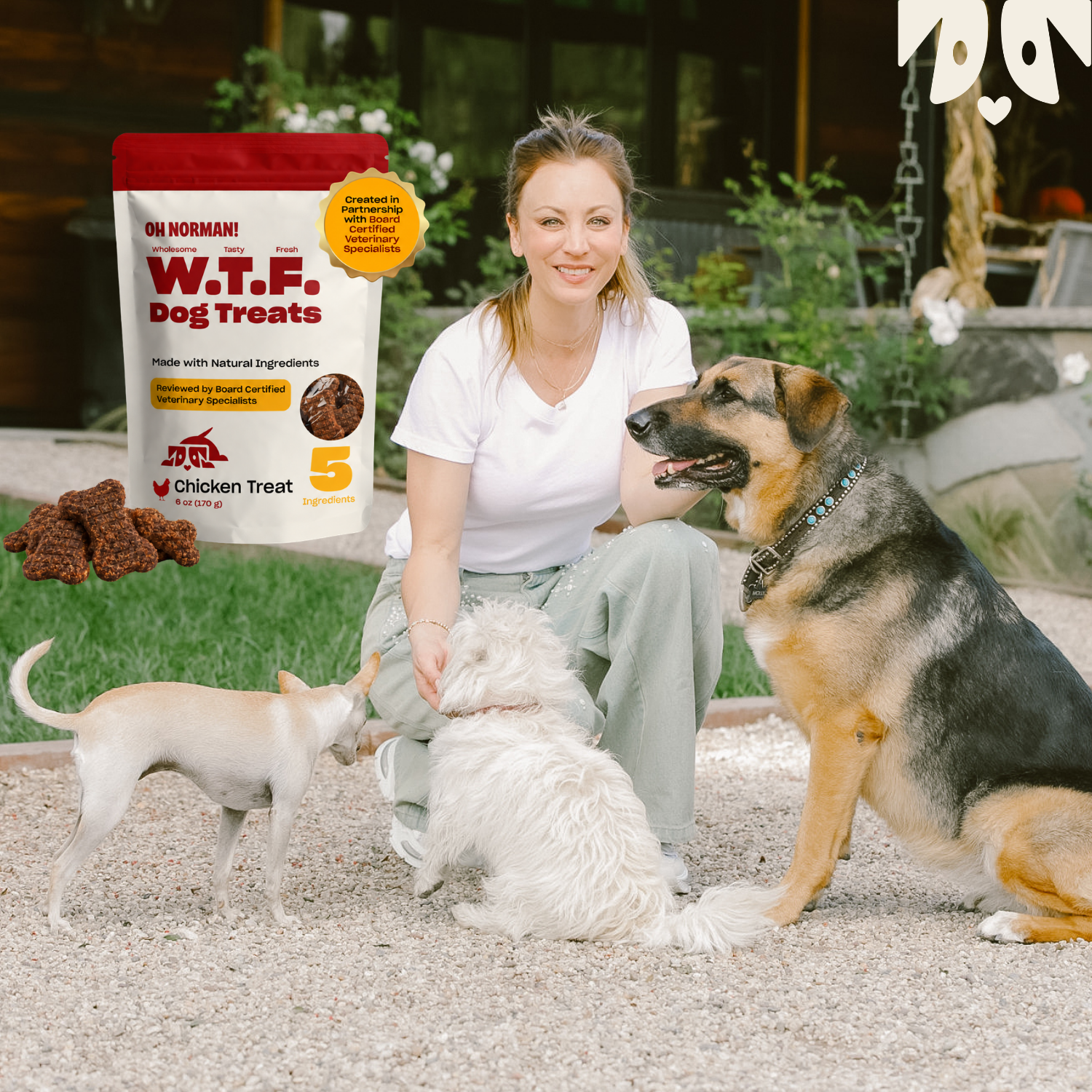 WTF Dog Treats: Chicken Treats