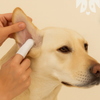 Close-up of an ear wipe on a fingertip cleaning a yellow Labrador's inner ear against a cream background