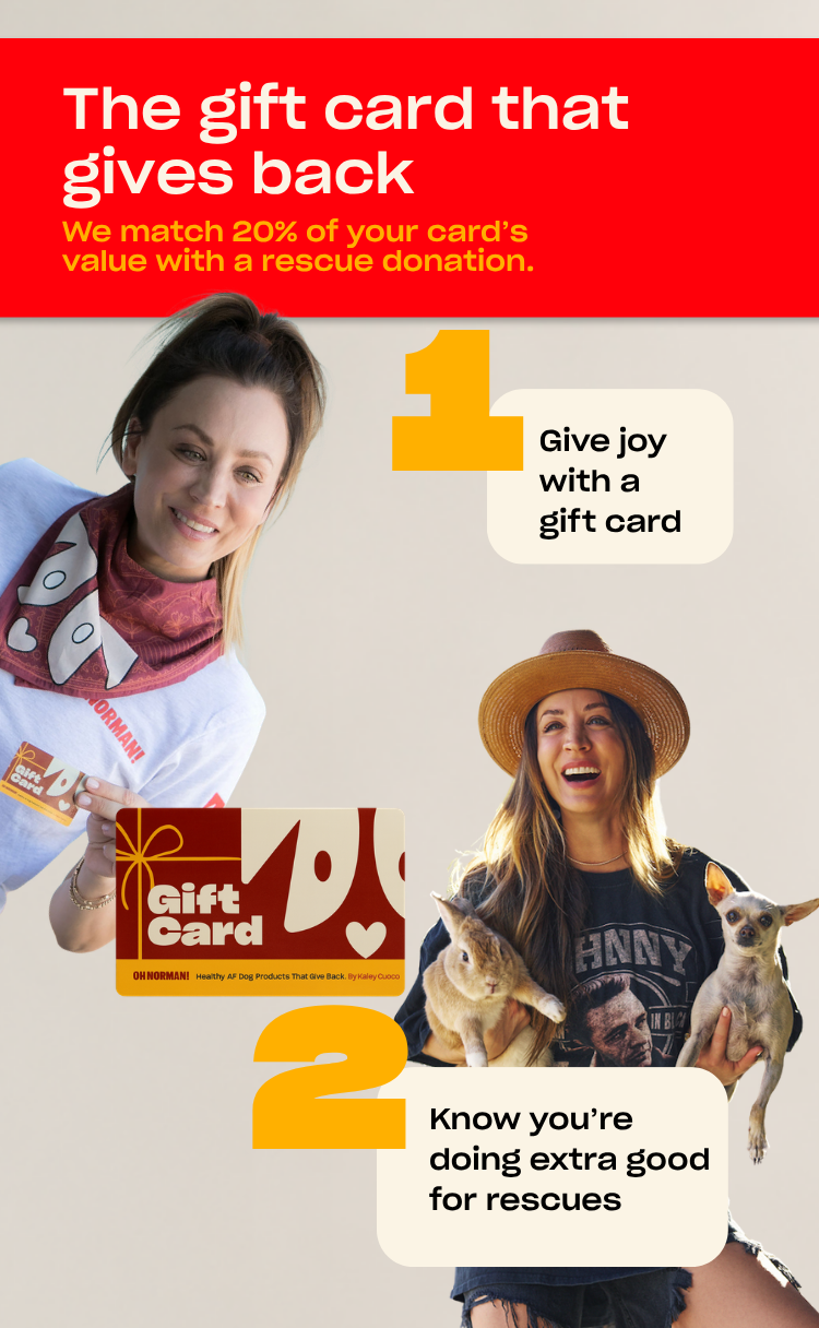 Promotional infographic showing headline The gift card that gives back and that Oh Norman! matches 20% of each card’s value with a rescue donation