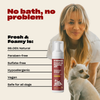 Infographic showing headline 'No bath, no problem' and that Fresh & Foamy AF is 99.05 percent natural and safe for dogs with a picture of actress Kaley Cuoco