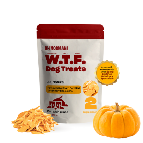 WTF Treats: Pumpkin Slices
