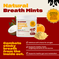 Promotional graphic: 'Natural Breath Mints' with Minty Fresh AF jar; soft chews fight bad breath, support teeth and gut