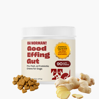 Front view of Good Effing Gut jar of dog probiotic chews; label reads "Pre, Post & Probiotic Chews for Dogs" and "90 soft chews" with ginger and heart-shaped treats on white background