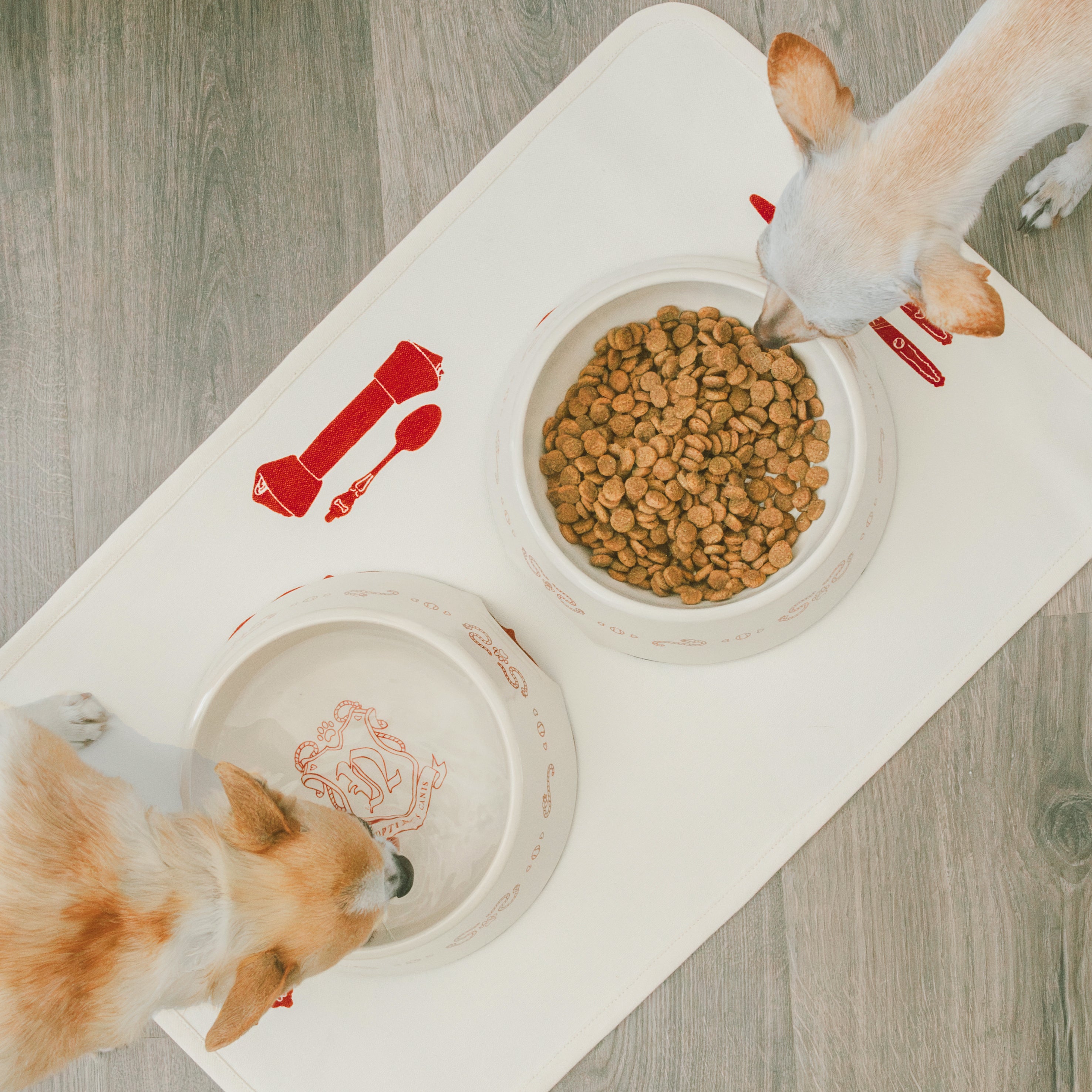 Bone Appetit Placemat