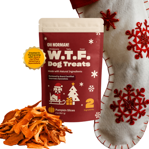 WTF HOLIDAY Treats: Pumpkin Slices