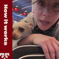 A person with a surprised expression leaning on a surface with a dog beside them; text on the left reads 'how it works' and a logo below it.