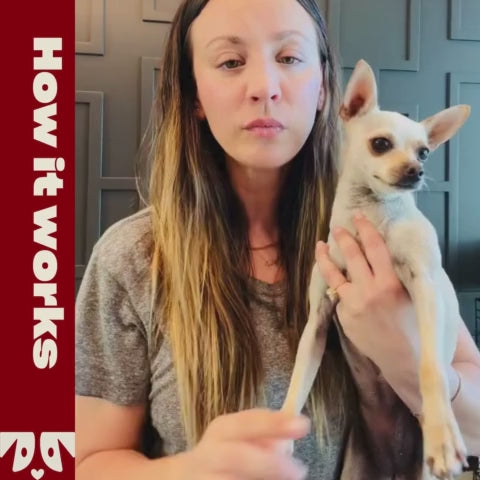 Woman holding a small white dog with text 'Fresh & Foamy AF' on the left side