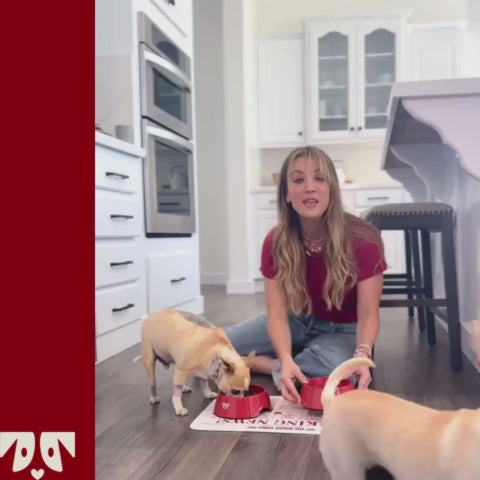 Woman sitting on the floor feeding two dogs from a red Oh-riginal bowl